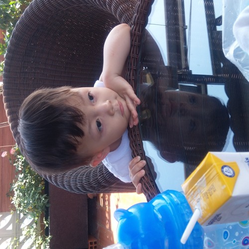 Quê hương ba miền - Quang Lê