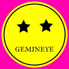 GEMINEYE