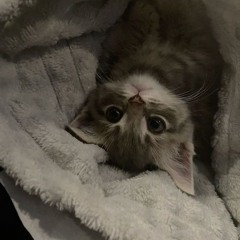 𝒦𝒶𝓇𝒾𝓃𝒶💋