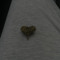 xo4L
