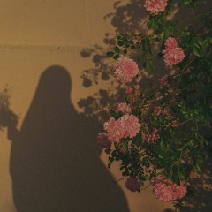 Amira Talaat