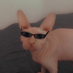 kimihero