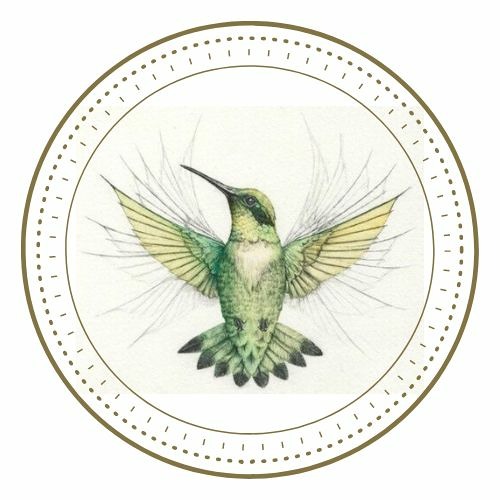 The Humming Bird Collective Podcast’s avatar