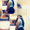 User 187914385