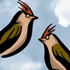 The Waxwing Collective