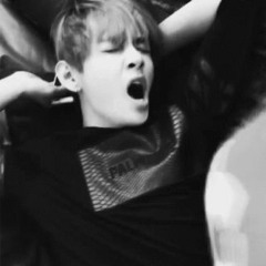 KimTaeHyung'sKuma