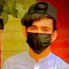 Anwar Raza