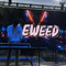 LeWeed