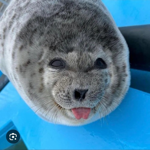 хардстайл-вечеринка 2025