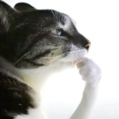 eeeeeeeeeeeeeeeeeeeeeeeeee