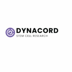Exploring the Role of Dynacord Mesenchymal Exosomes in Regeneration
