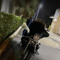 @_954minibikes