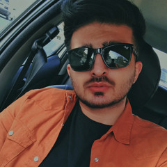 pouya.naderii