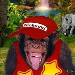 diddykongfan2024