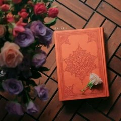 عرب