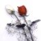 youshao