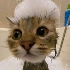 ブルーベリー 🌸