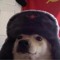 furlox