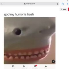 Shark