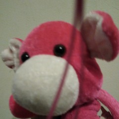 Piglet O' Donnel