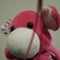 Piglet O' Donnel