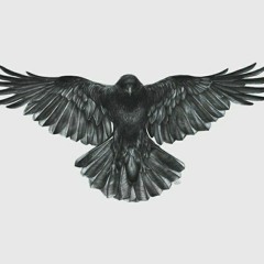 push definitely 💪