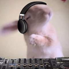 BELLAMBI