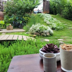 Trần Thị Thuý Hảo