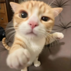 Kimail