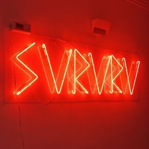 SVRVRV’s avatar