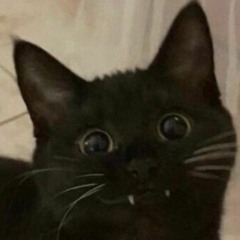 Felixa