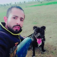 Ali Elhawan
