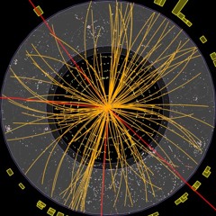 MuoN