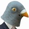 pigeon man
