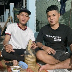 Diệu Gà ✈️🐓