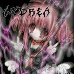 「P.tersxn 」