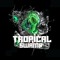 TROPICAL SWAMP