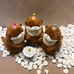 ‪‧˚₊*̥(* ⁰̷̴͈꒳⁰̷̴͈ )‧˚₊*̥‬