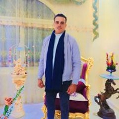 Youssef H. Shaheen