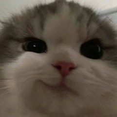 a ya