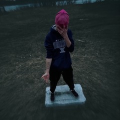 Zannn