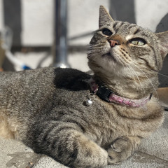 нв_ℓє𝕙є𝕓