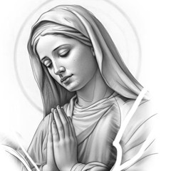 DG - PERFIL 2 <  🇦🇴🇫🇷🗼🚩✌🏻