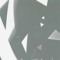 Valkir