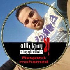 Ahmed Mostafa Elkholy