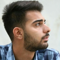 amir.moeeni