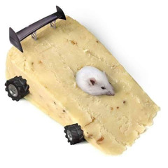 nutricious delicious fuck money get bitches