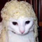 Noodlesaur