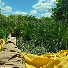 Róbert Balázs István