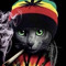 Mochie4life3